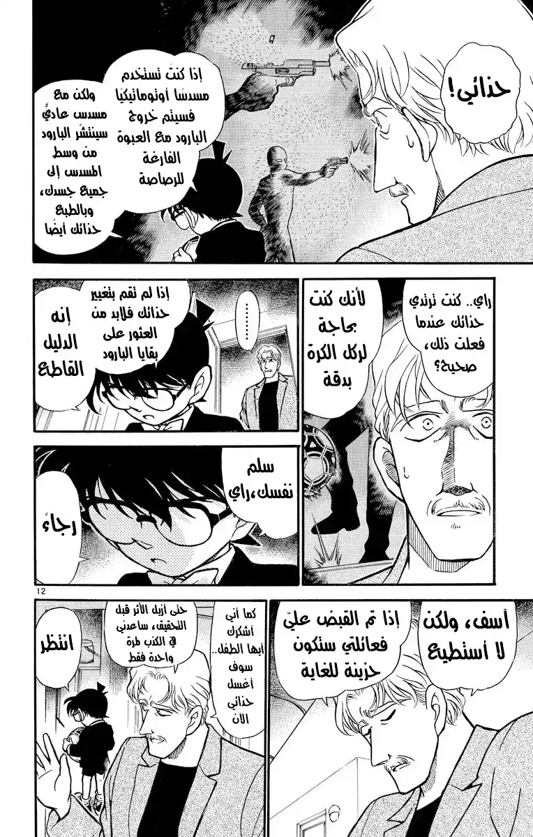 Detective Conan 295 - المنظمه página 13