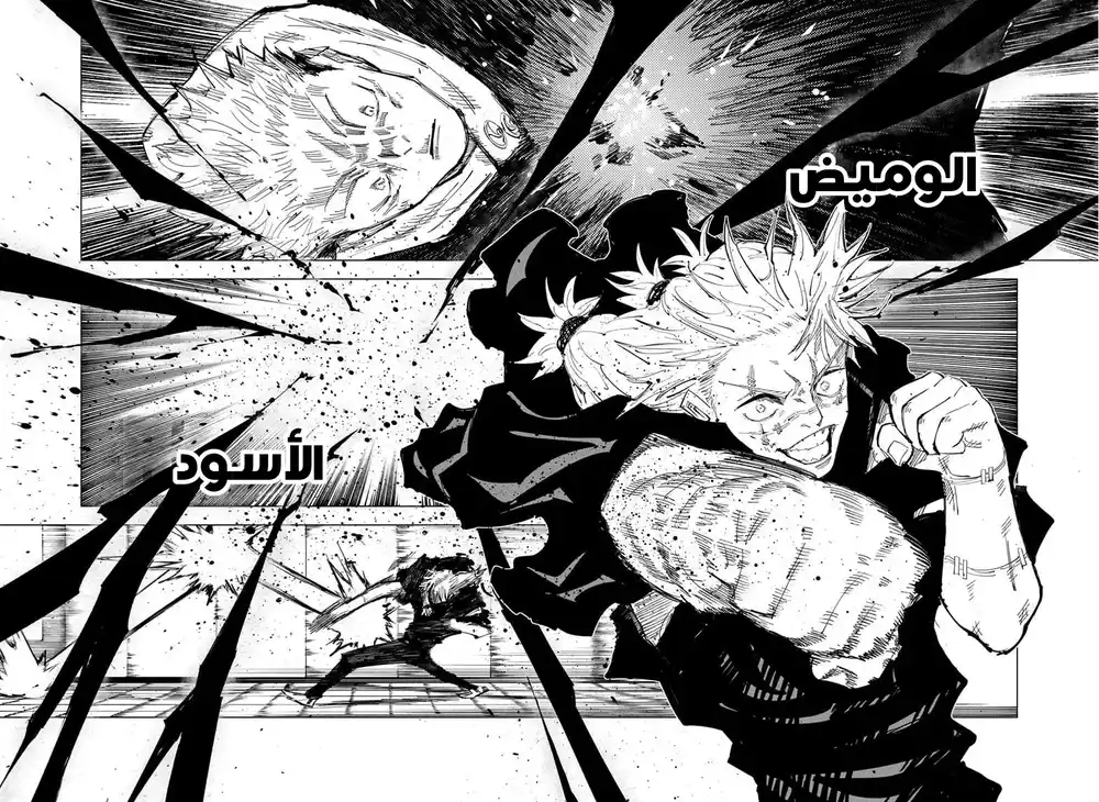 Jujutsu Kaisen 126 página 9