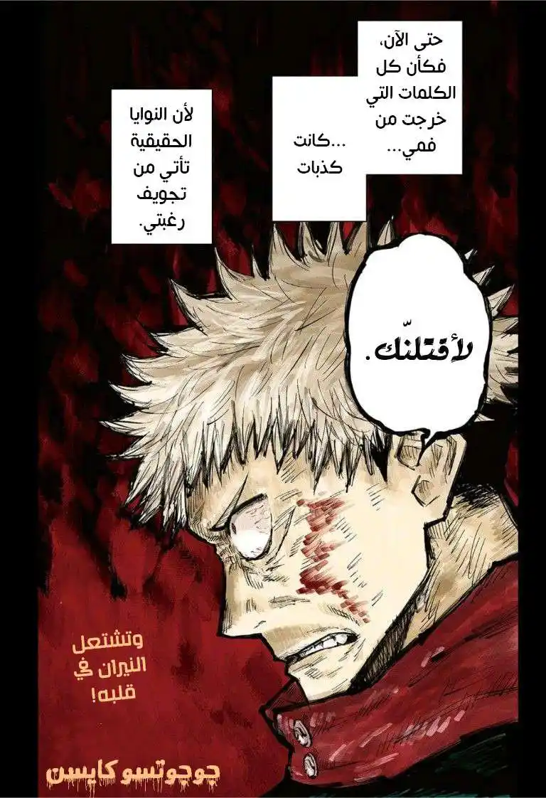 Jujutsu Kaisen 28 - لأقـــتــلنـــكـ página 2