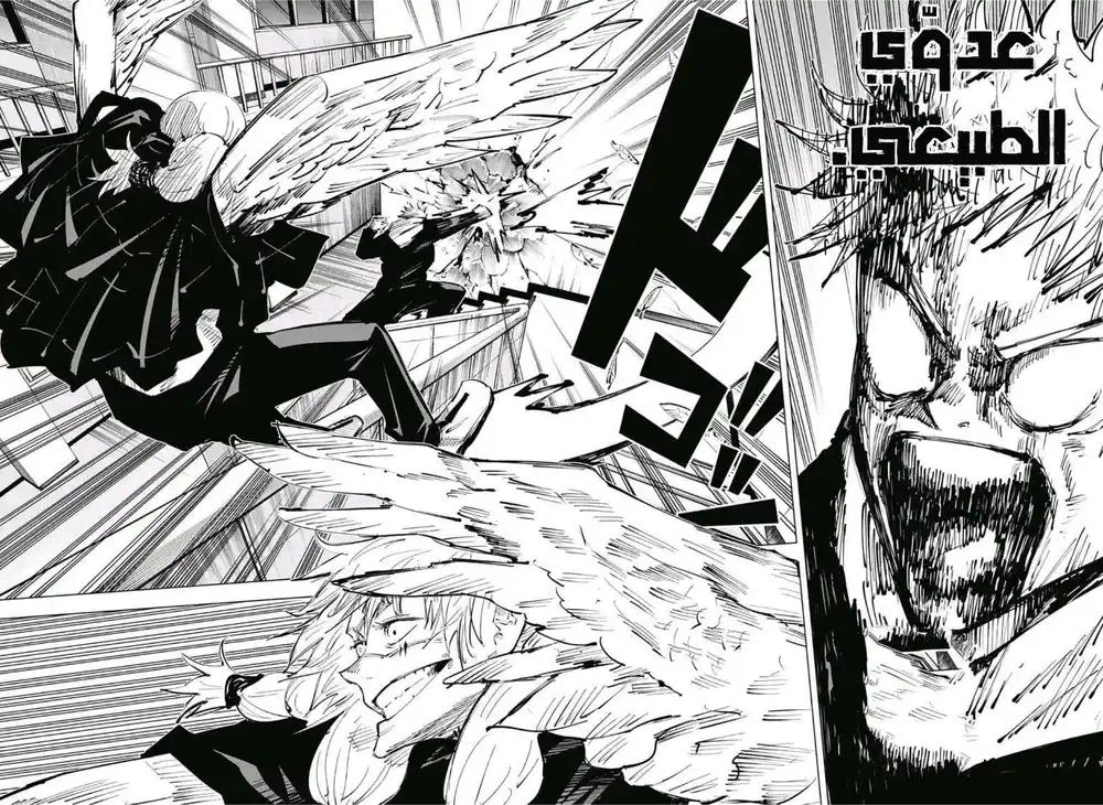 Jujutsu Kaisen 28 - لأقـــتــلنـــكـ página 5