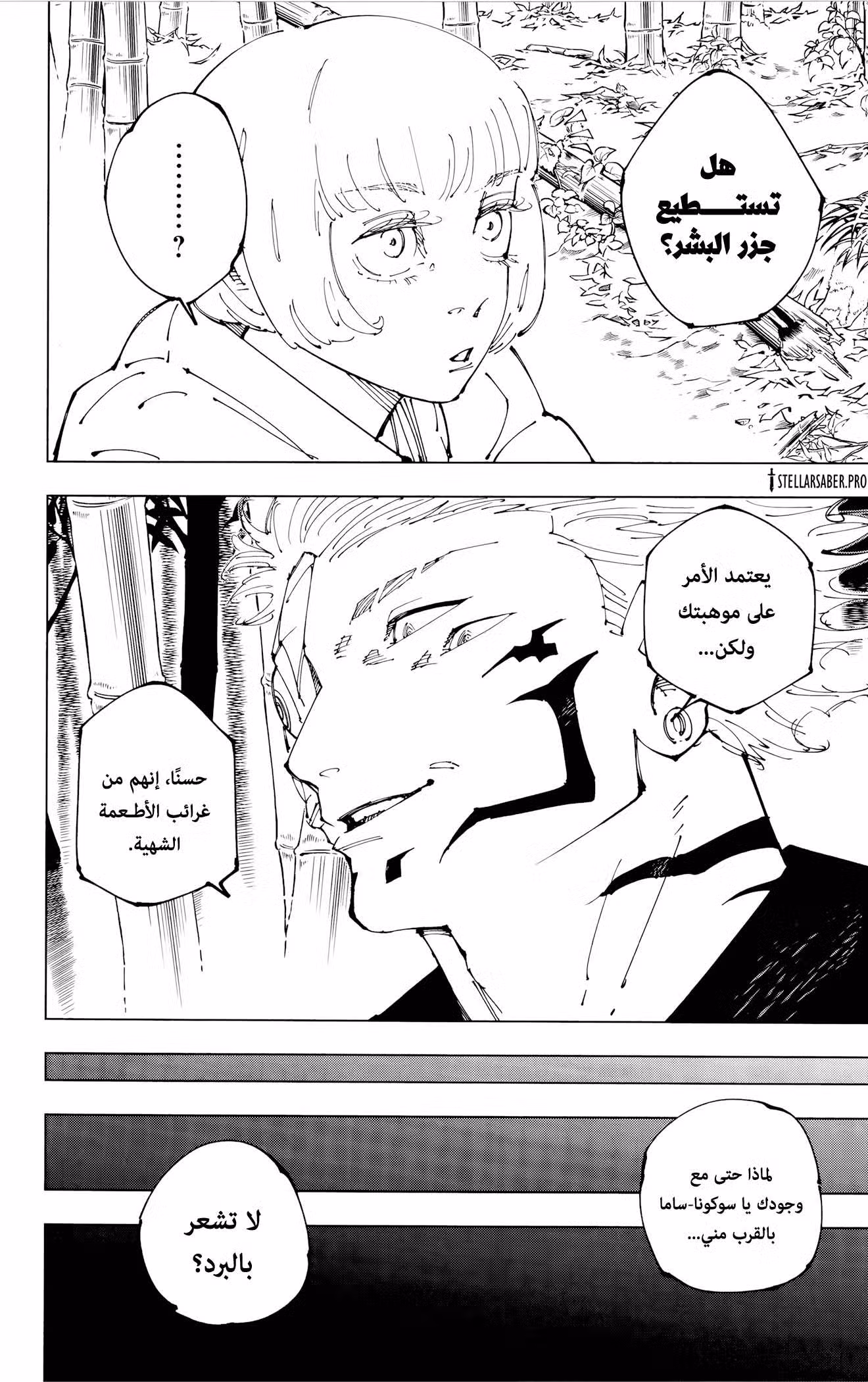 Jujutsu Kaisen 271.5 página 19