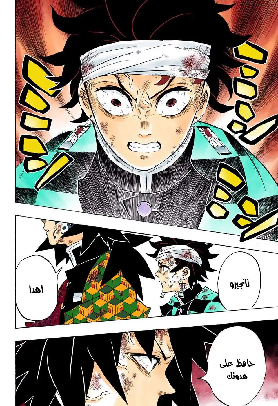 Kimetsu no Yaiba 181 -  الكارثة الجليلة página 13