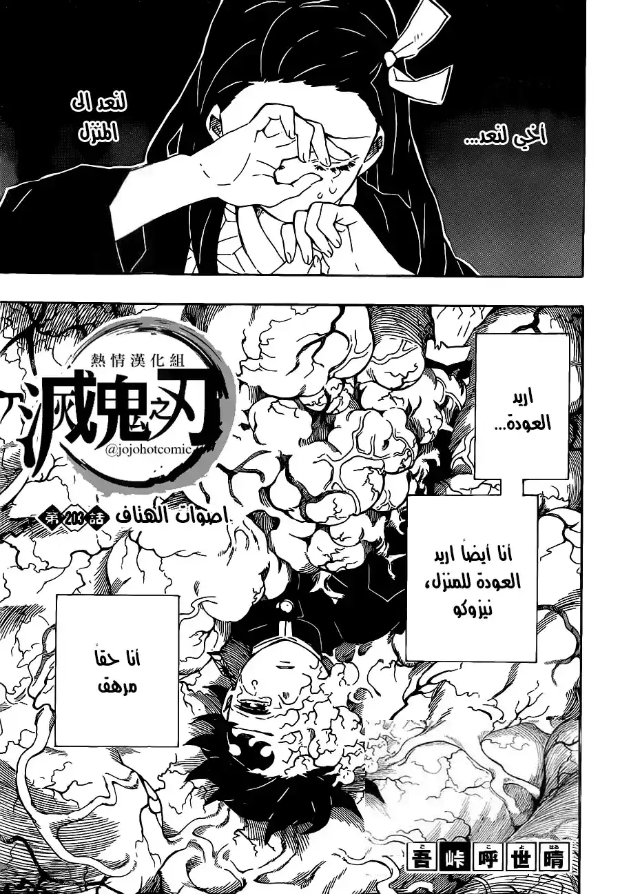 Kimetsu no Yaiba 203 - النهاية página 1