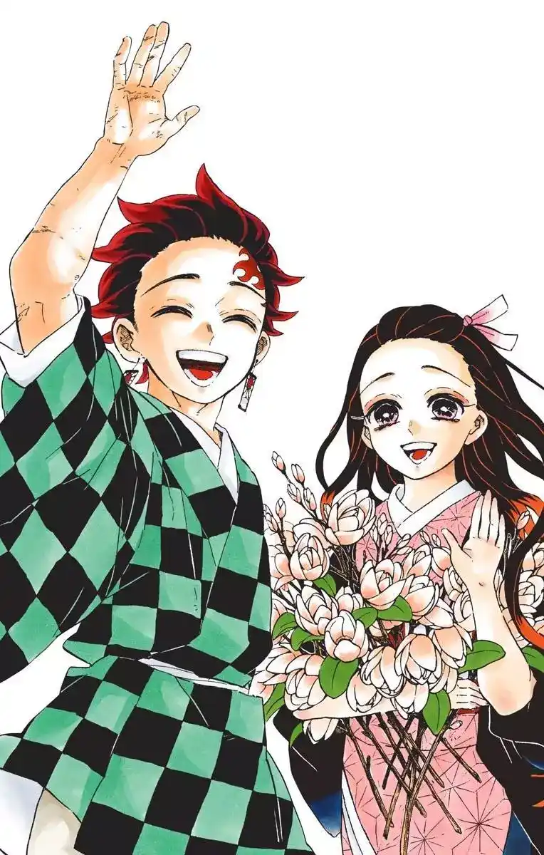 Kimetsu no Yaiba 205.1 - فصل خاص página 2