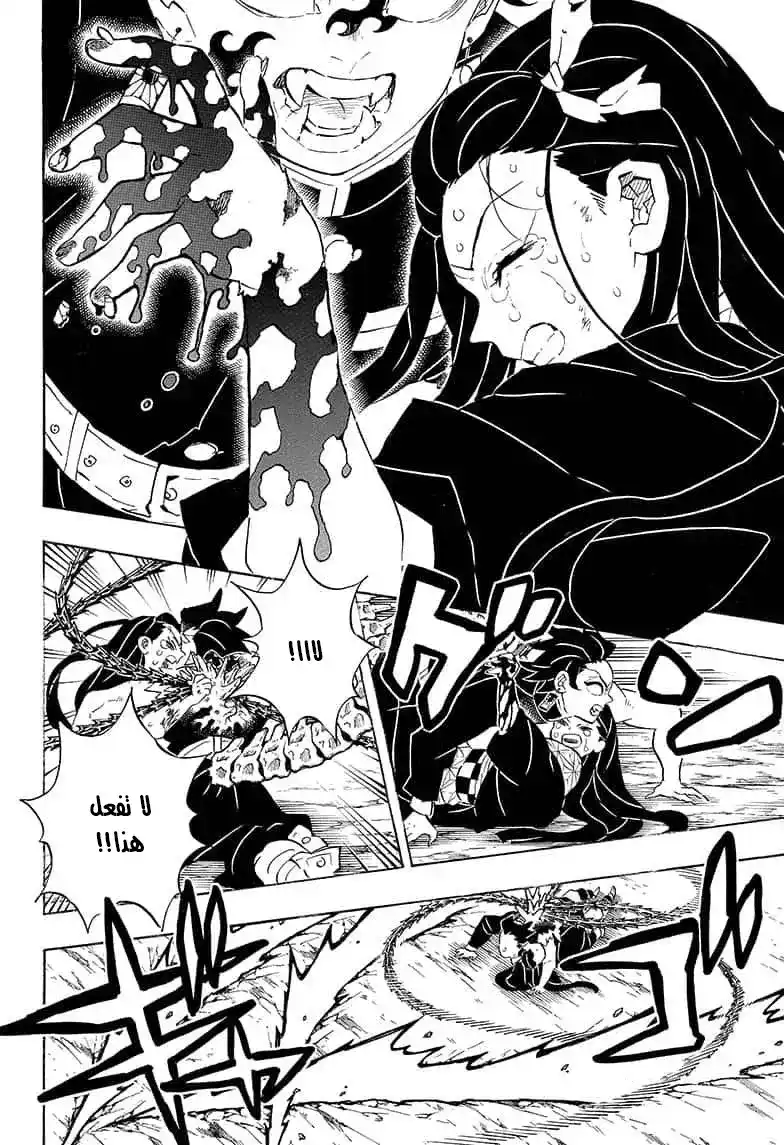 Kimetsu no Yaiba 202 - لنذهب للمنزل página 13