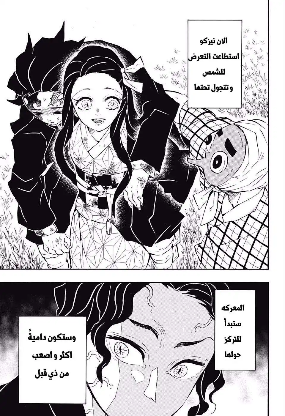 Kimetsu no Yaiba 127 - دمدمات النجاح página 17