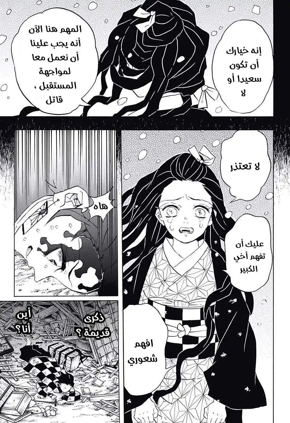 Kimetsu no Yaiba 92 - دودة احمق جبان بليد página 9