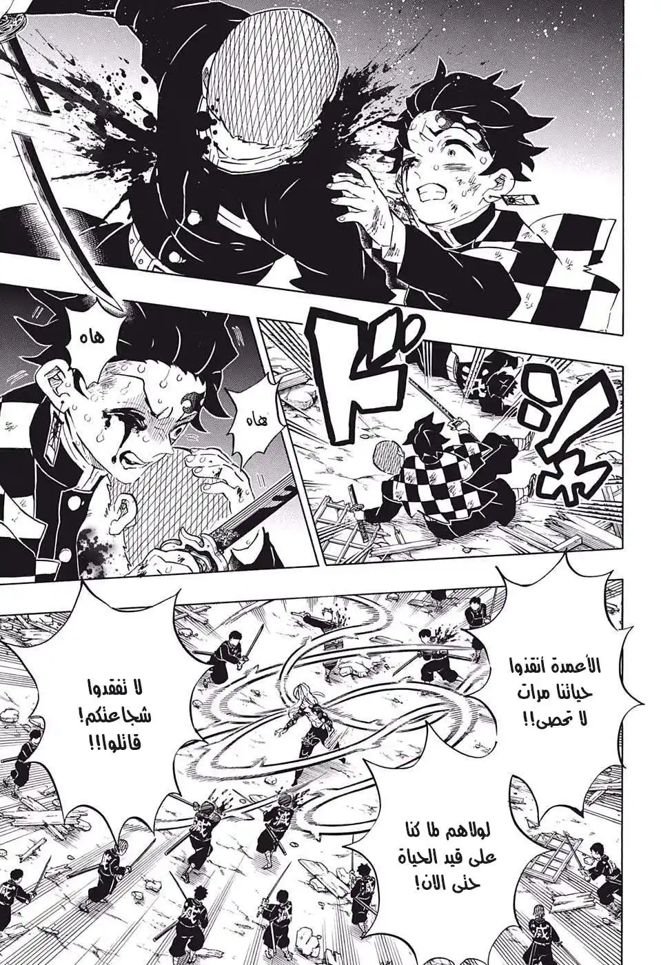 Kimetsu no Yaiba 184 página 14