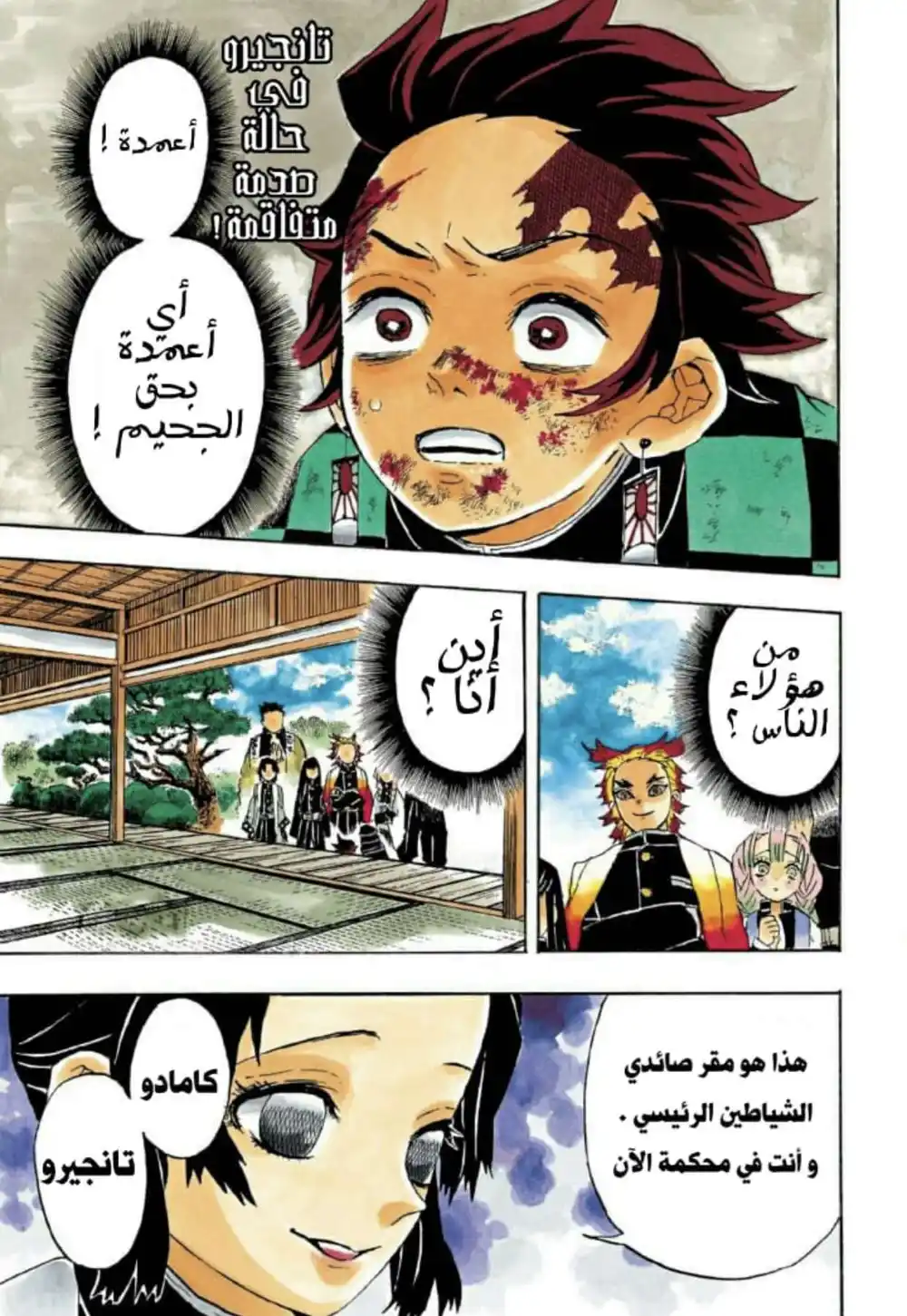 Kimetsu no Yaiba 45 - محاكمة أعمدة صيّادي الشياطين página 2