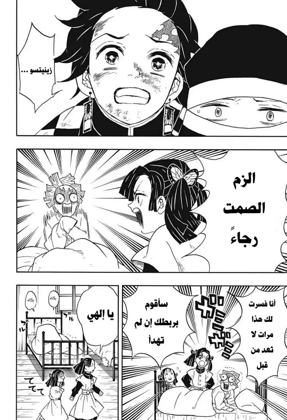 Kimetsu no Yaiba 48 - منشأة الفراشة página 13