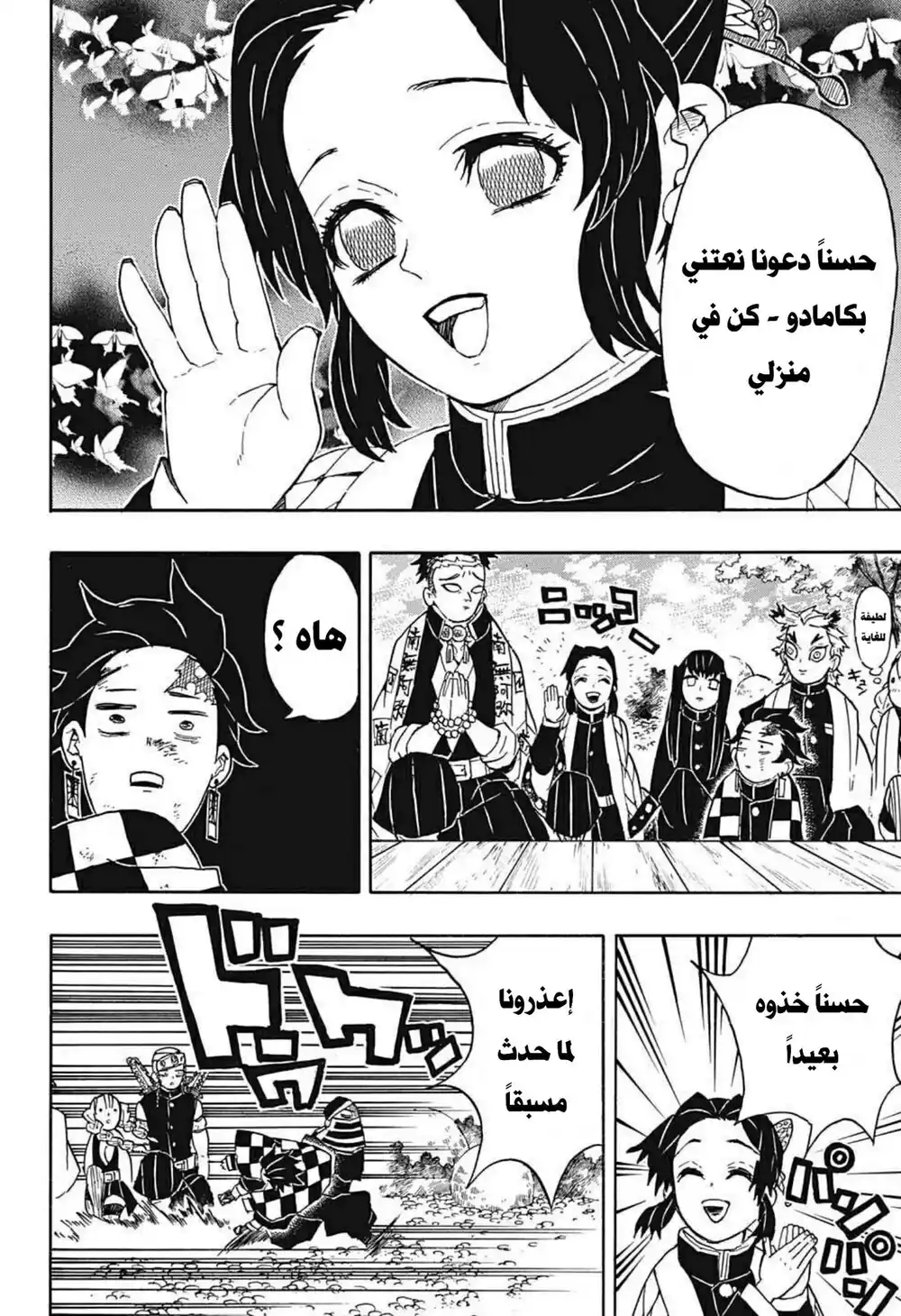 Kimetsu no Yaiba 48 - منشأة الفراشة página 3