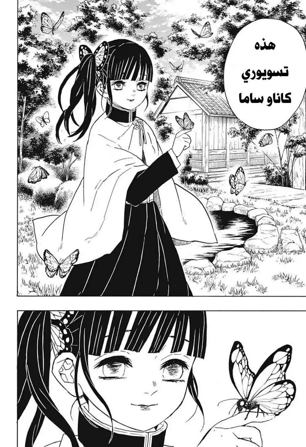 Kimetsu no Yaiba 48 - منشأة الفراشة página 9