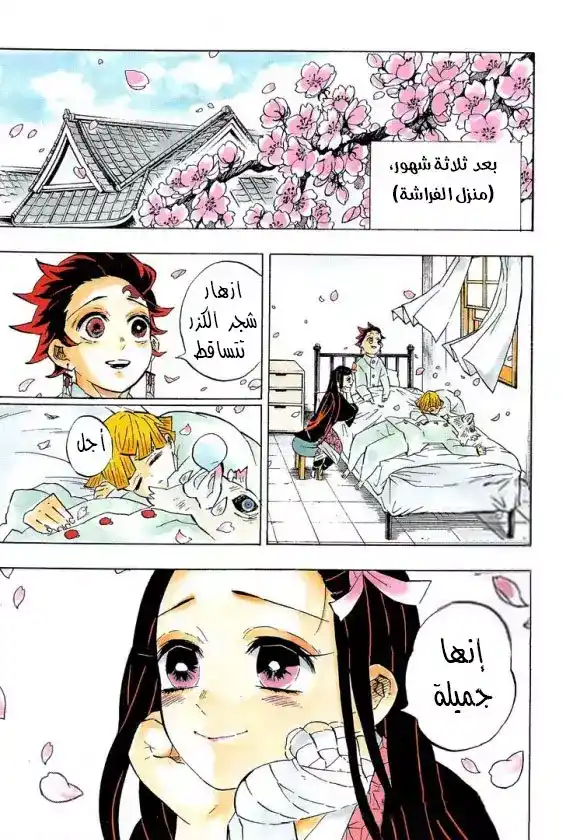 Kimetsu no Yaiba 204 - ‏عالم بلا شياطين página 1