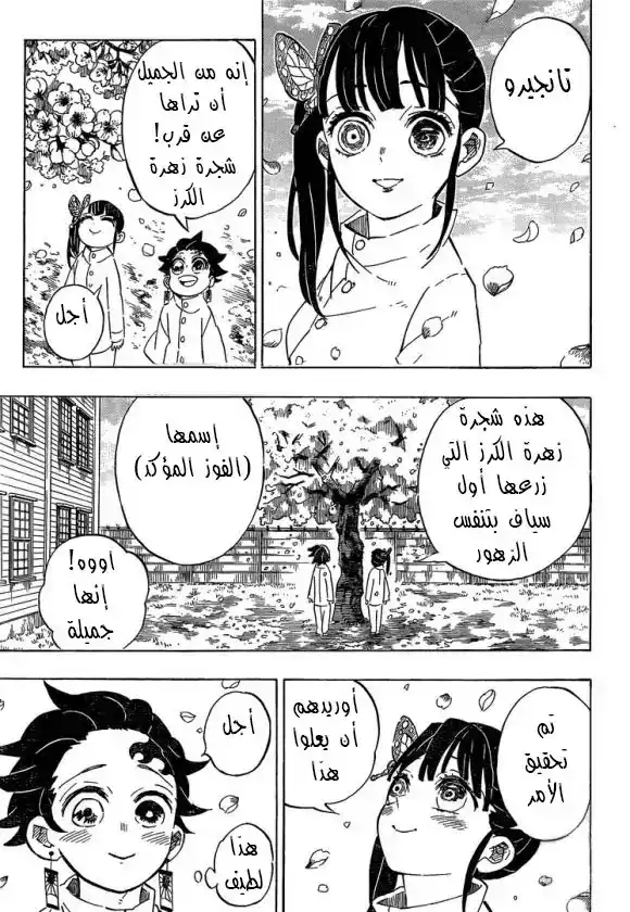 Kimetsu no Yaiba 204 - ‏عالم بلا شياطين página 17