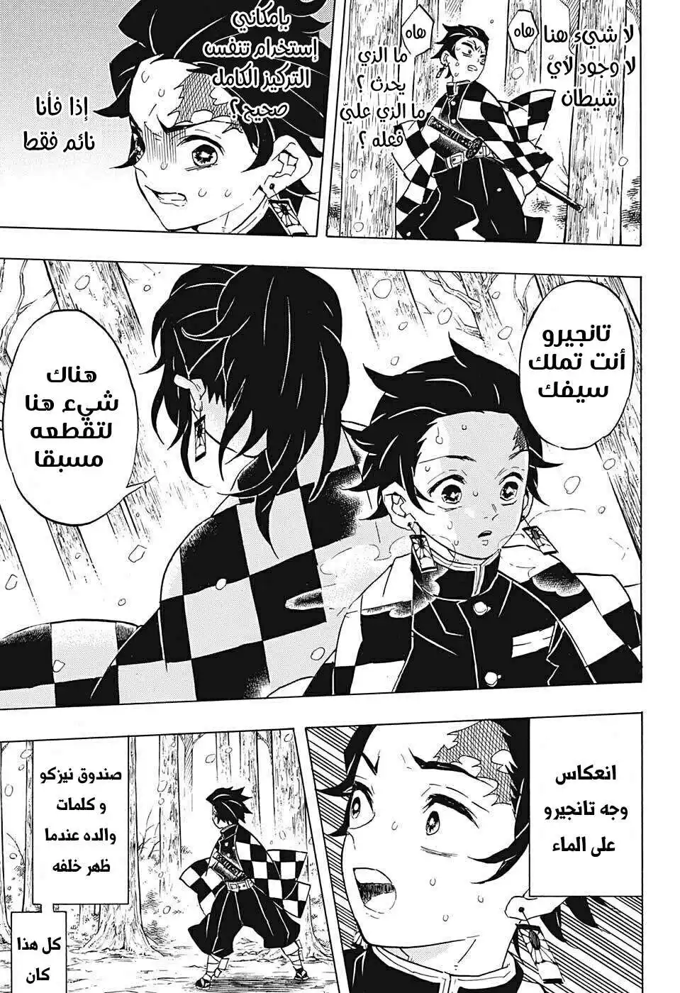 Kimetsu no Yaiba 57 - لديك سيفك página 17