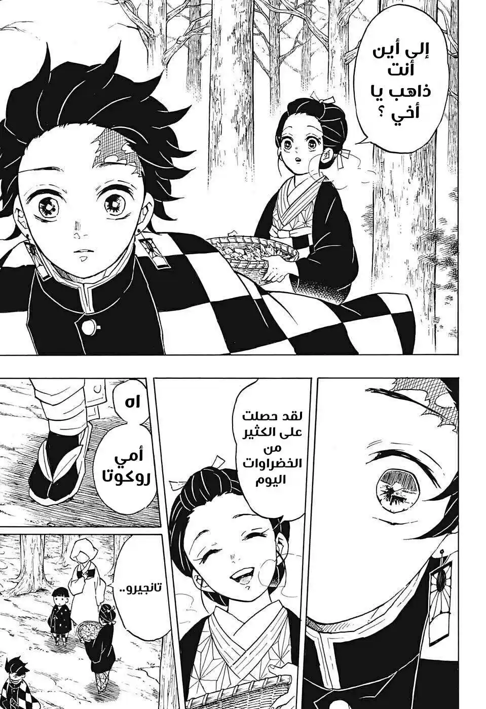 Kimetsu no Yaiba 57 - لديك سيفك página 5