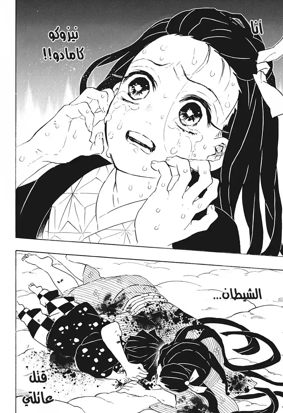 Kimetsu no Yaiba 196 - أنا página 12