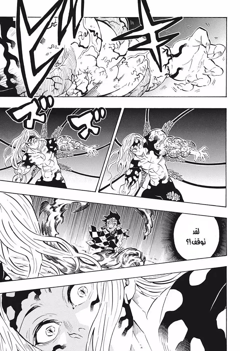 Kimetsu no Yaiba 196 - أنا página 17