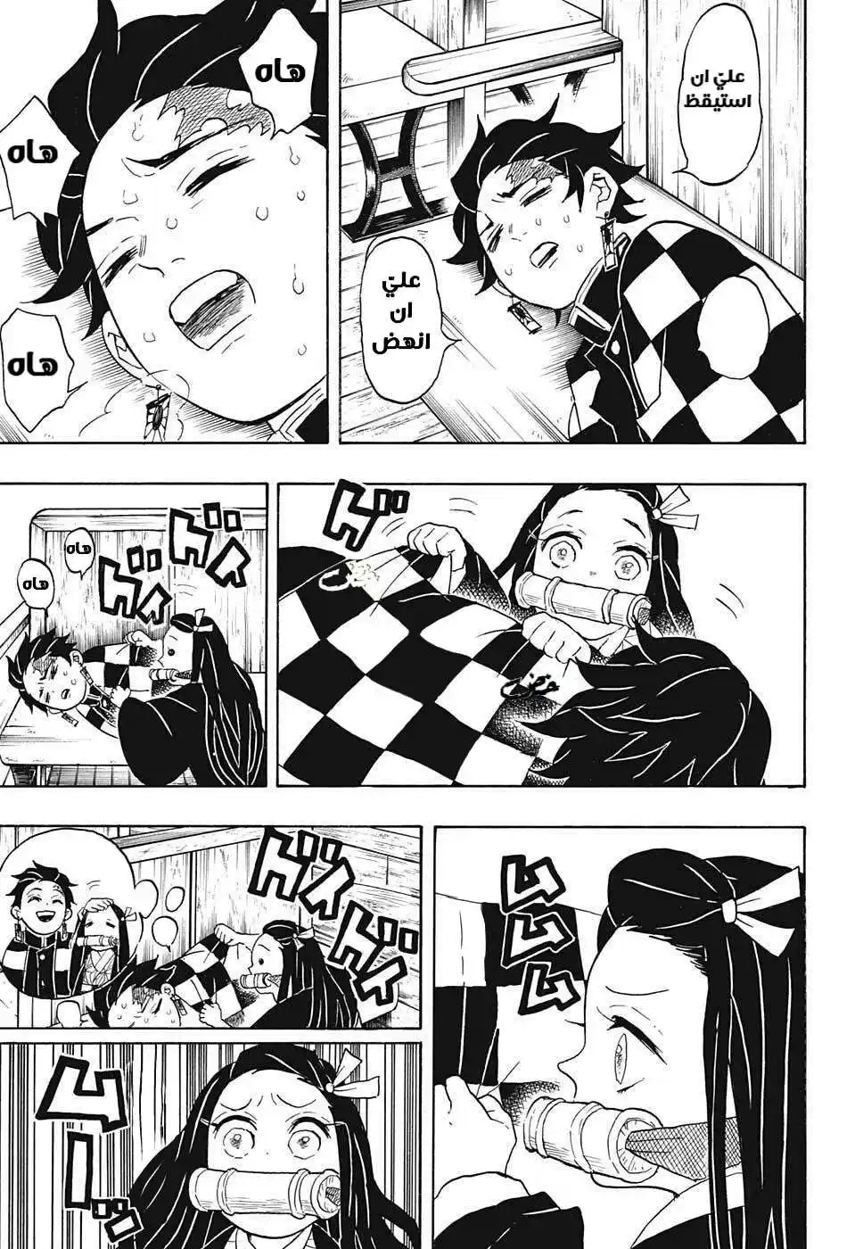 Kimetsu no Yaiba 56 - إستيقظ página 17