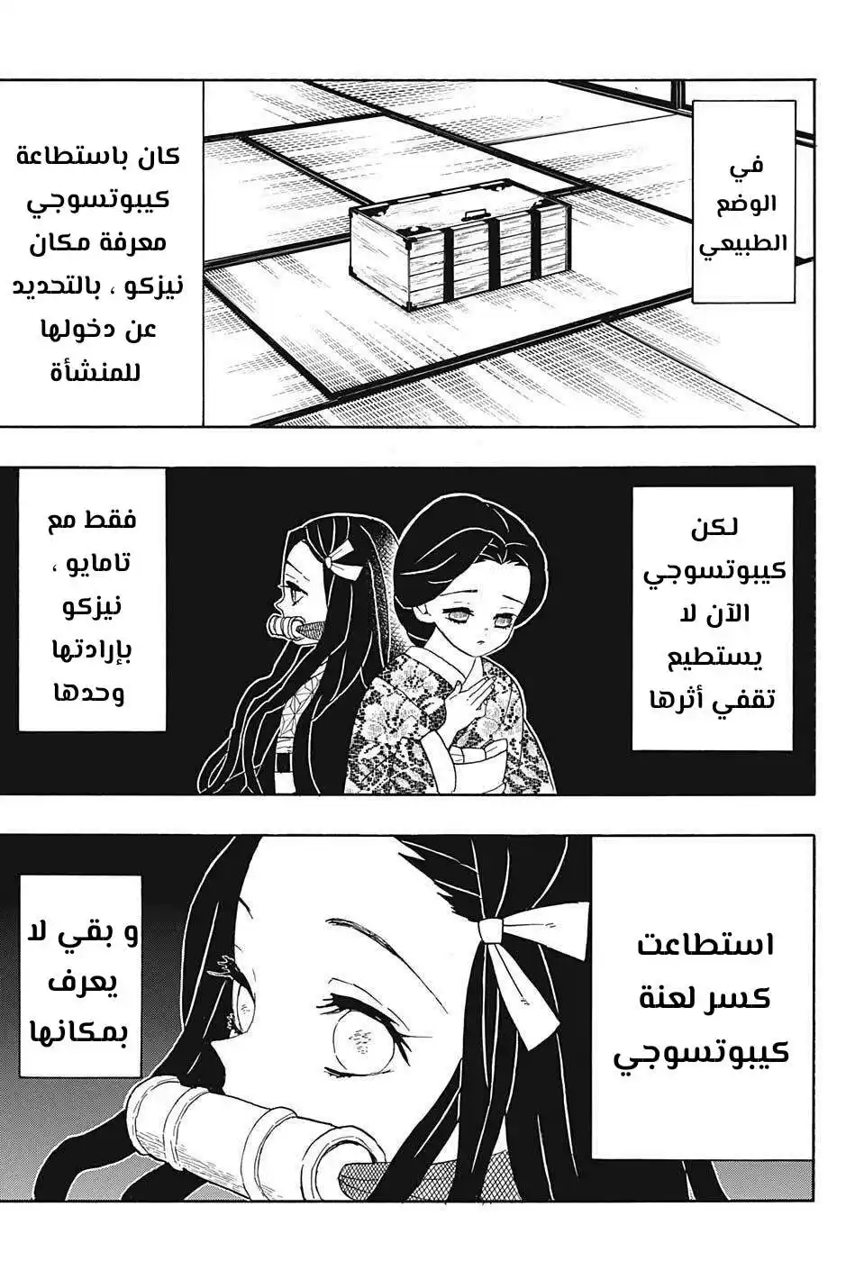 Kimetsu no Yaiba 52.5 - فصل إضافي página 3