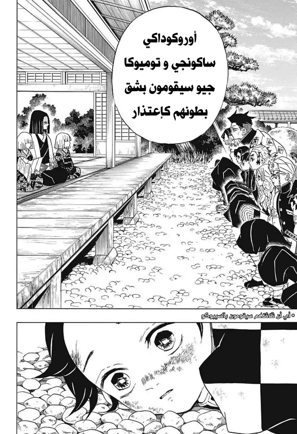 Kimetsu no Yaiba 46 - أوياكاتا-ساما página 11