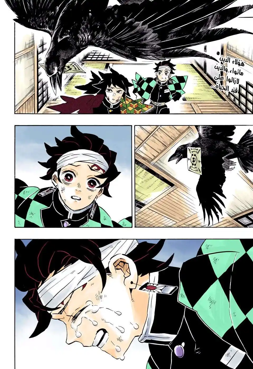 Kimetsu no Yaiba 180 - التعافي página 2