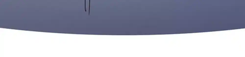 Eleceed 8 página 7
