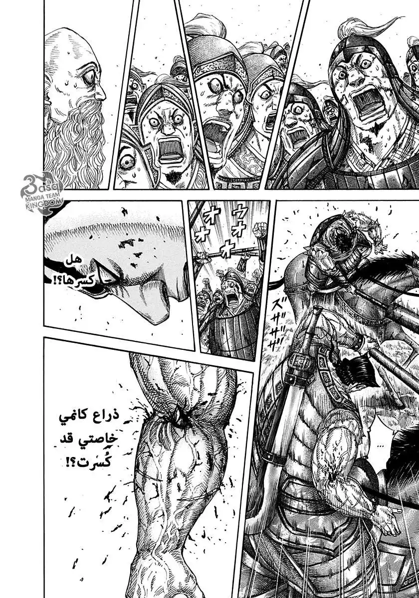 Kingdom 313 - الرجل الأقوى página 9