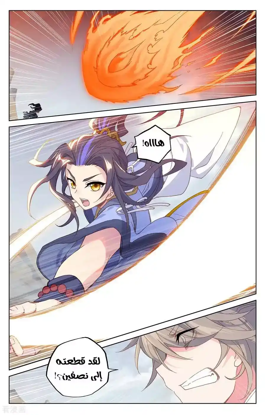 Yuan Zun 225 página 11