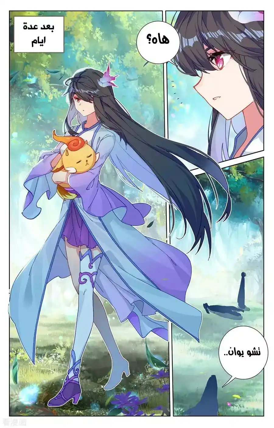 Yuan Zun 242 página 13