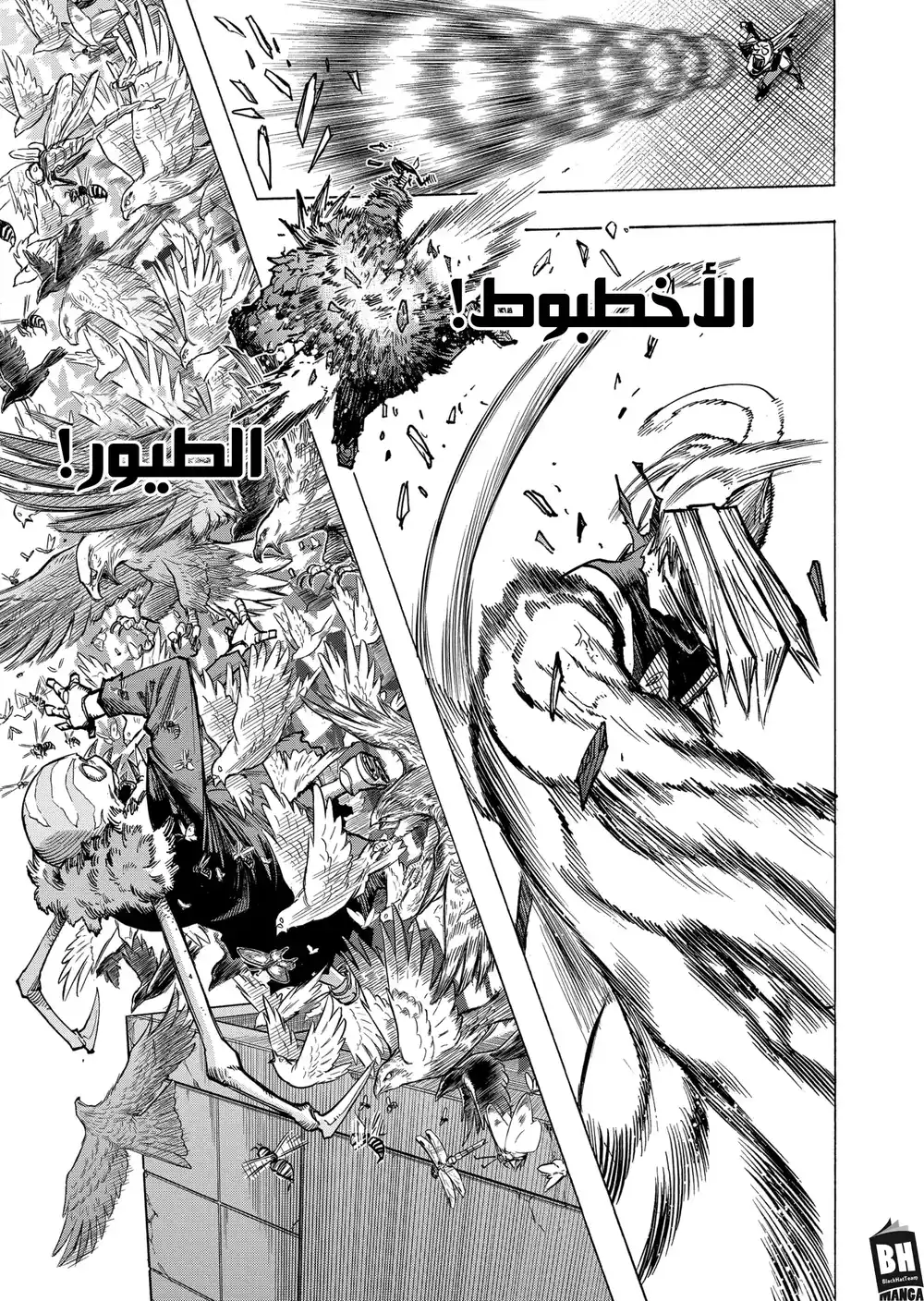 Boku no Hero Academia 372 - مكشوف página 6