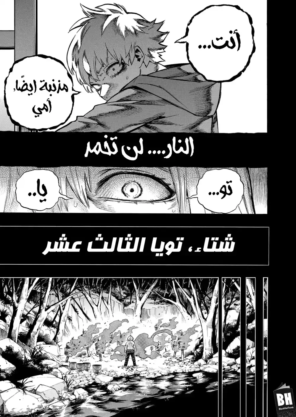 Boku no Hero Academia 302 - الطريقة الخاطئة لإشعال النار، الجزء الثاني página 8