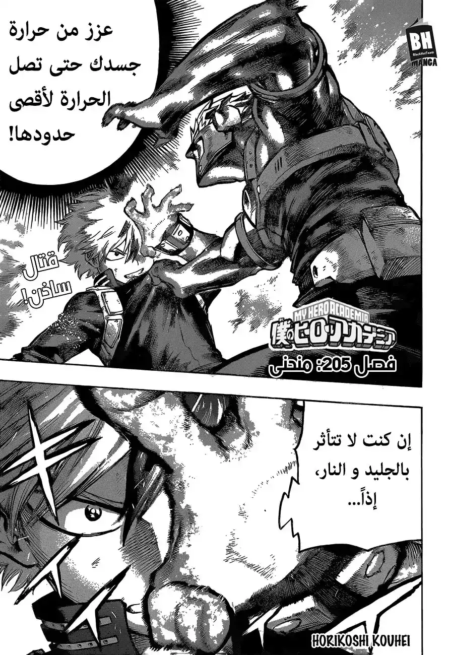Boku no Hero Academia 205 - منحنى página 1