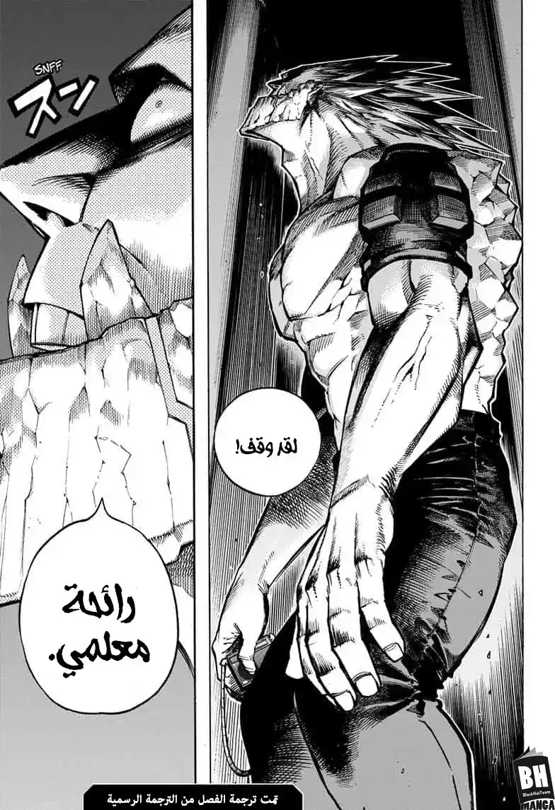 Boku no Hero Academia 271 página 18
