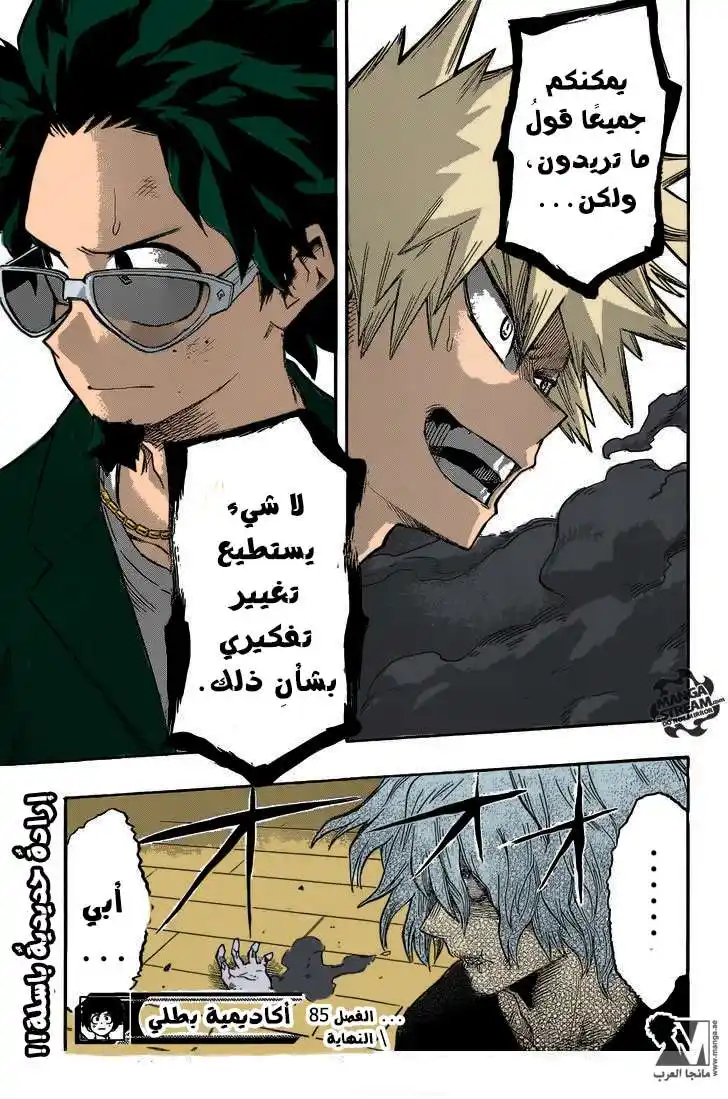 Boku no Hero Academia 85 - الحمقى في الأرجاء página 18