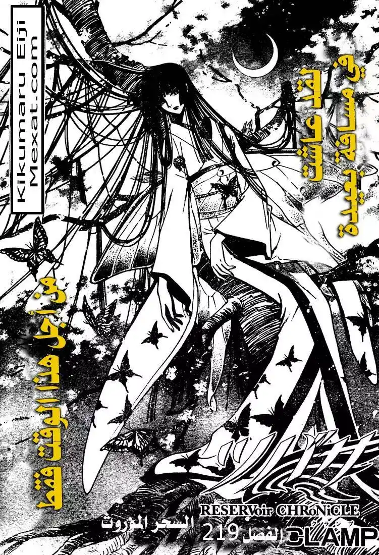 Tsubasa: Reservoir Chronicle 219 - Inherited Magic página 2