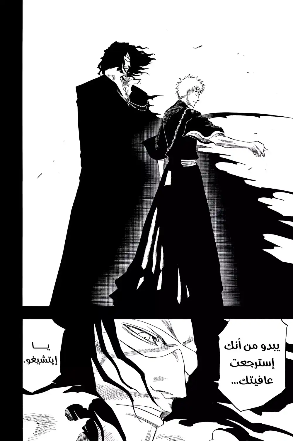 Bleach 127 - بداية موت الغد...!! página 9