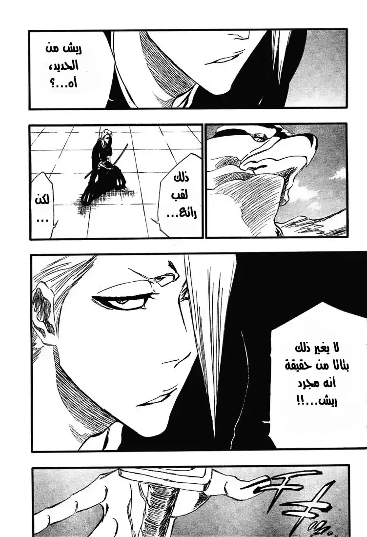 Bleach 323 - كئيب , مروع , ومليئ بالحزن página 3