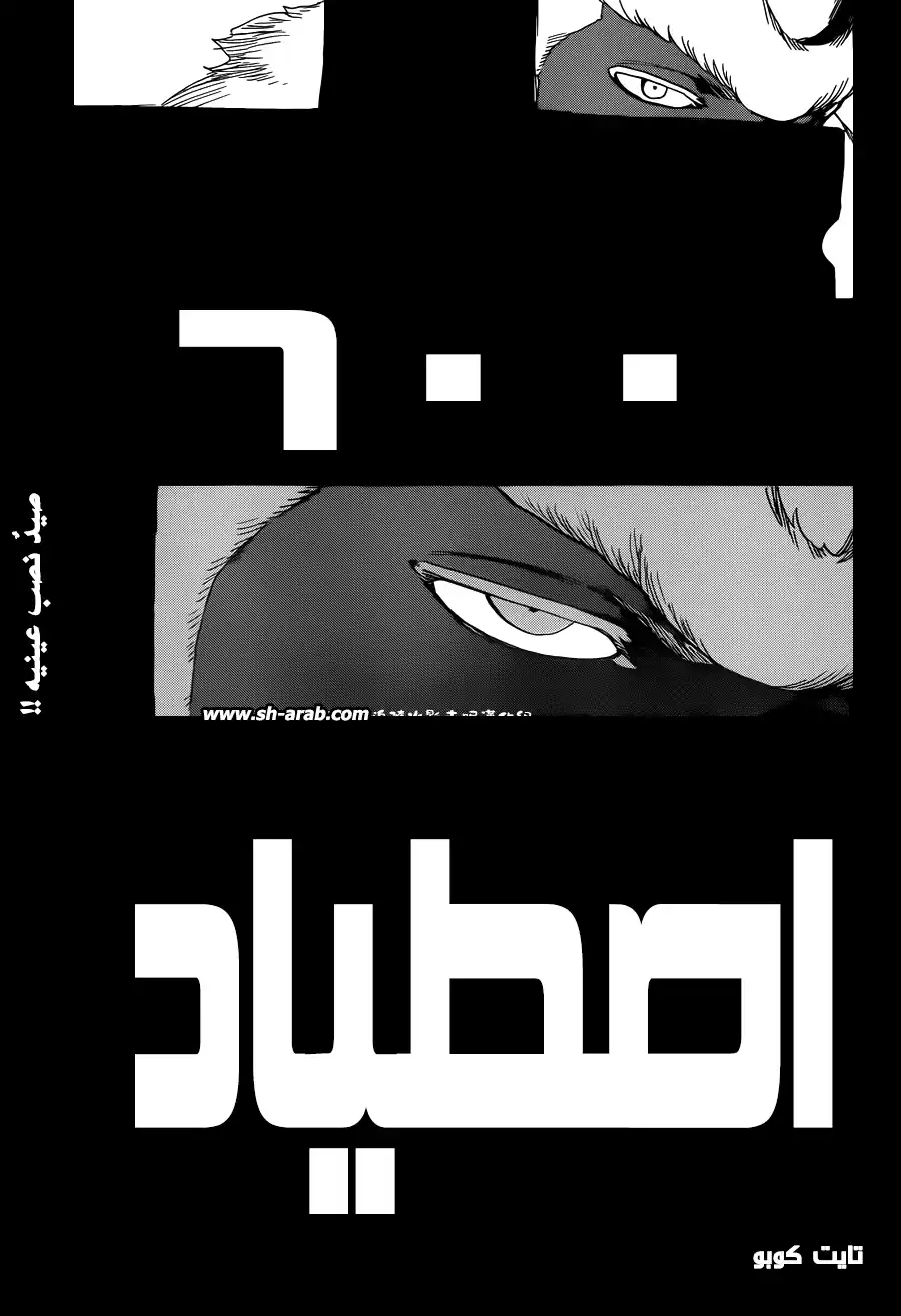 Bleach 600 - قنص página 5