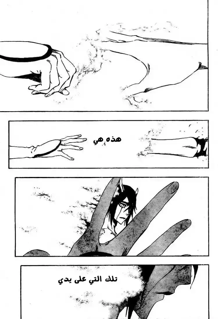 Bleach 354 - القلب página 3