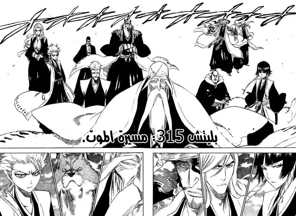 Bleach 315 - مسيرة الموت página 2