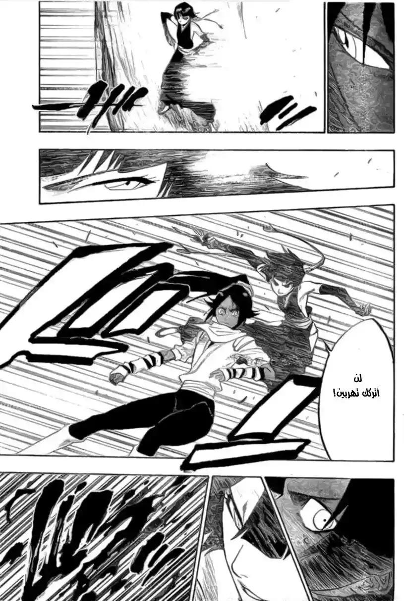 Bleach 157 - CAT and Hornet página 17