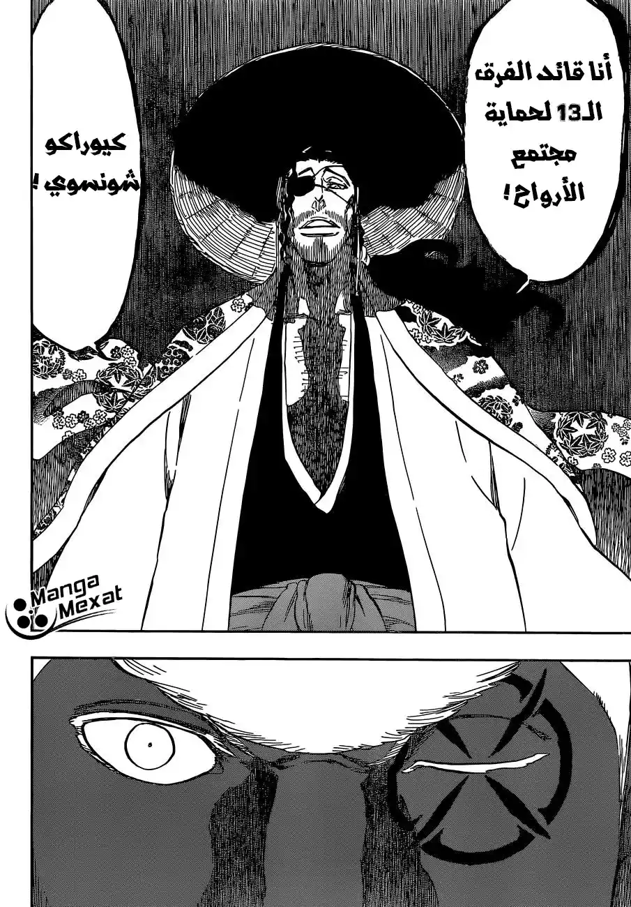 Bleach 645 - لا تُطار ظلا página 11