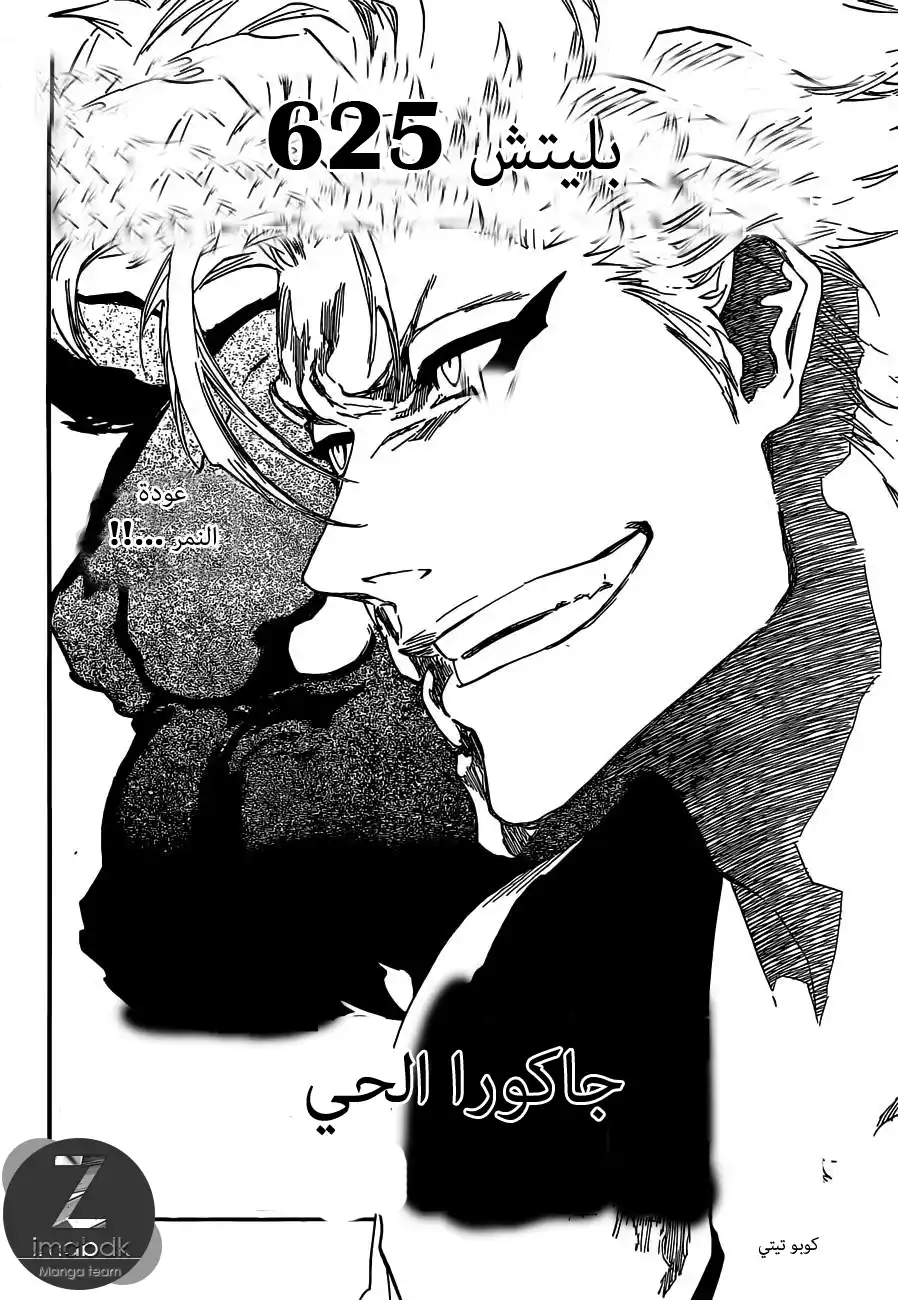 Bleach 625 - نمر حي página 3