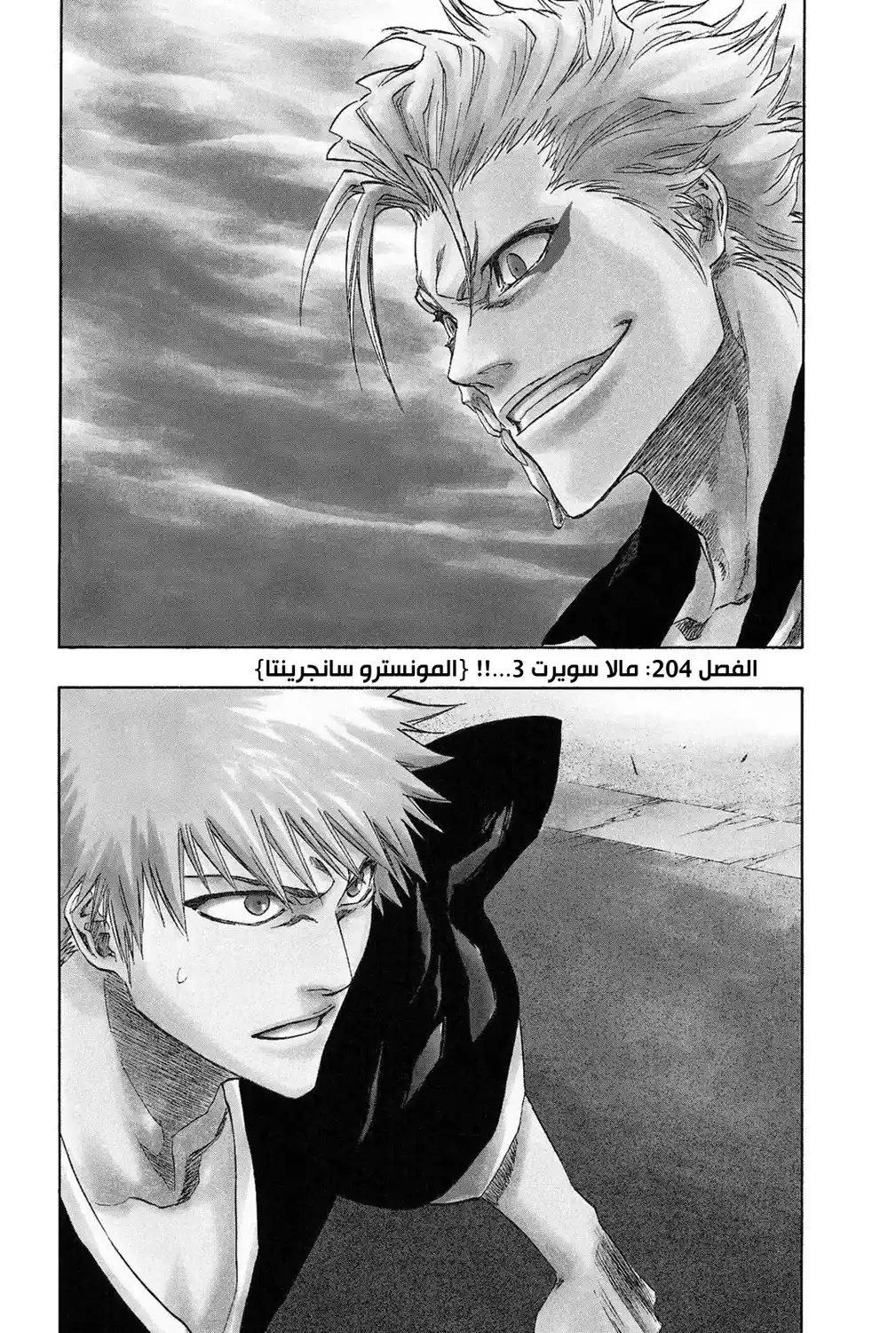 Bleach 204 - مالا سويرت 3...!! {المونسترو سانجرينتا} página 2