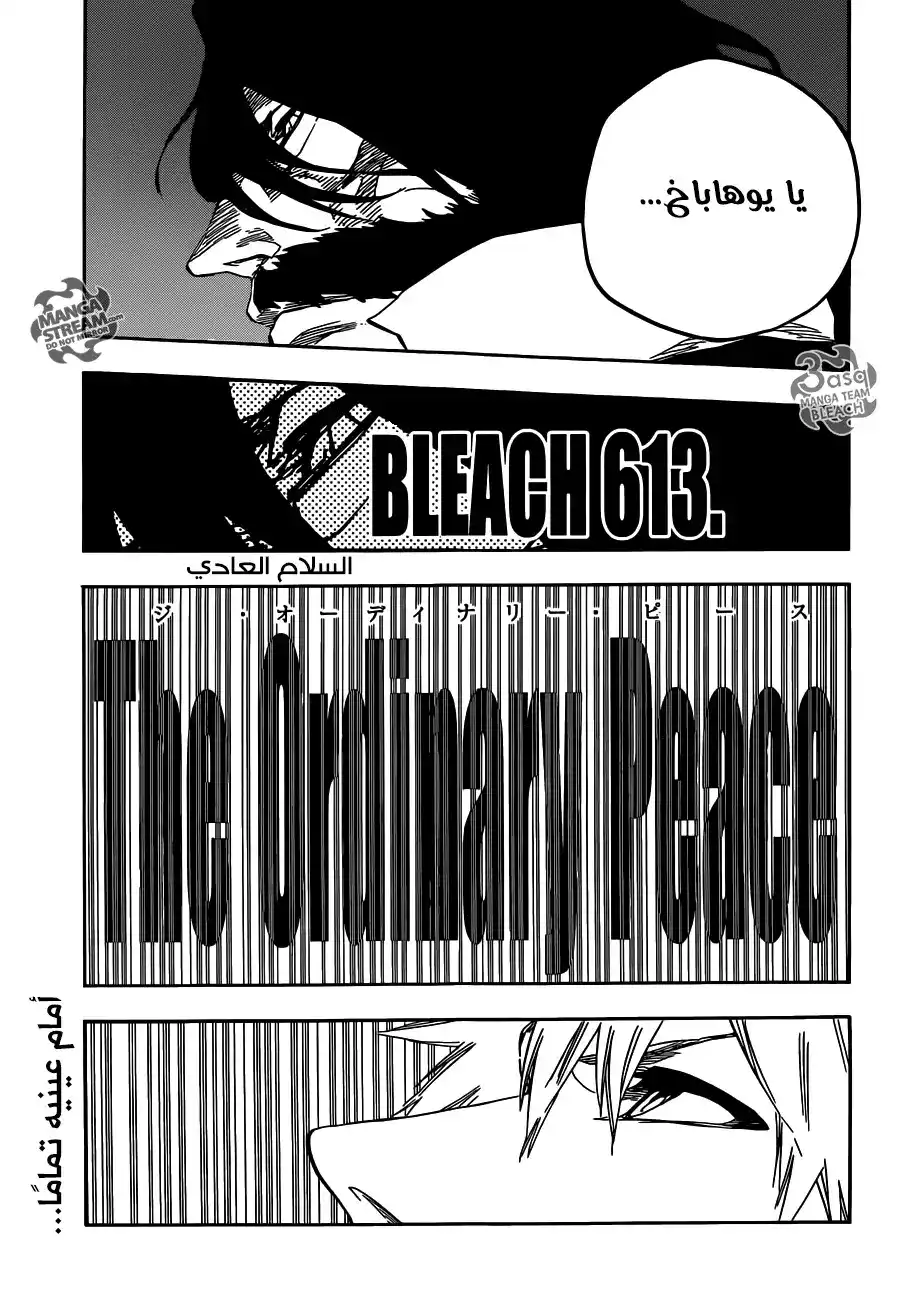 Bleach 613 - السلام العادي página 3