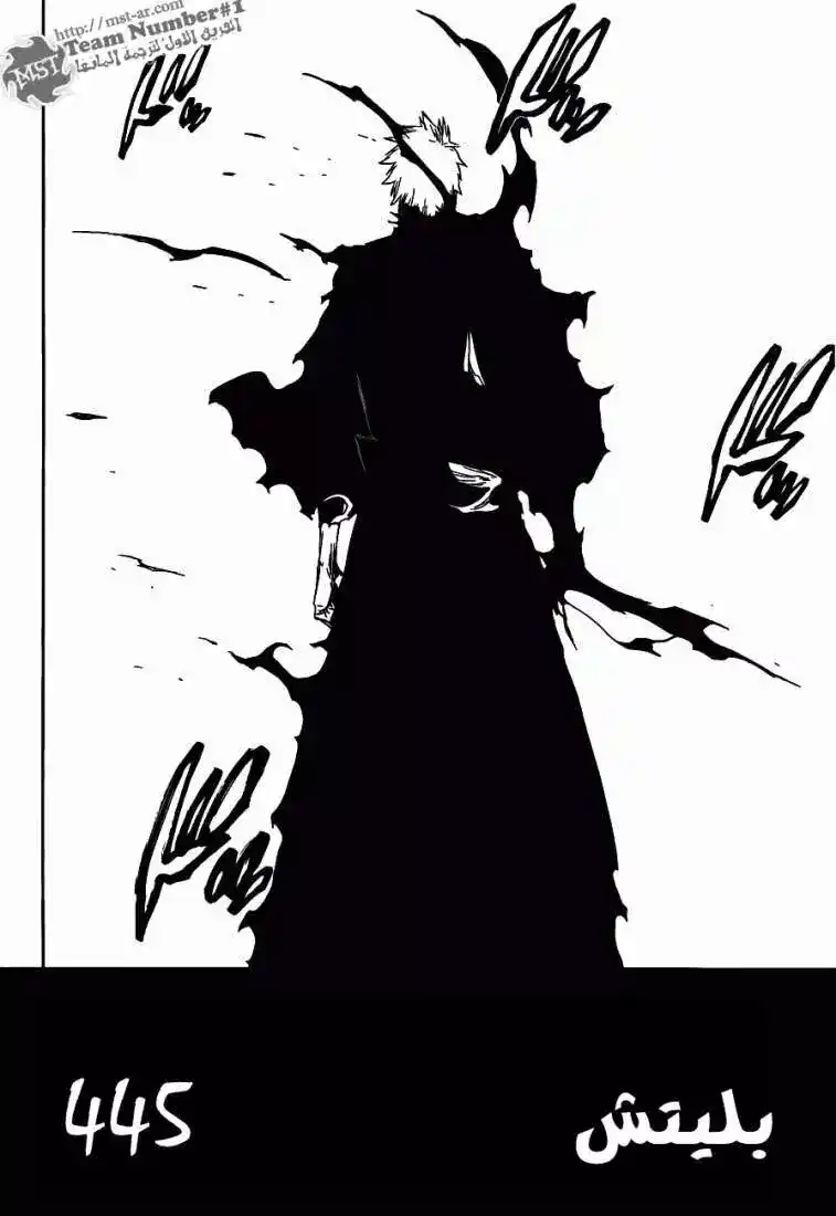 Bleach 445 - الضربة المظلمة página 2