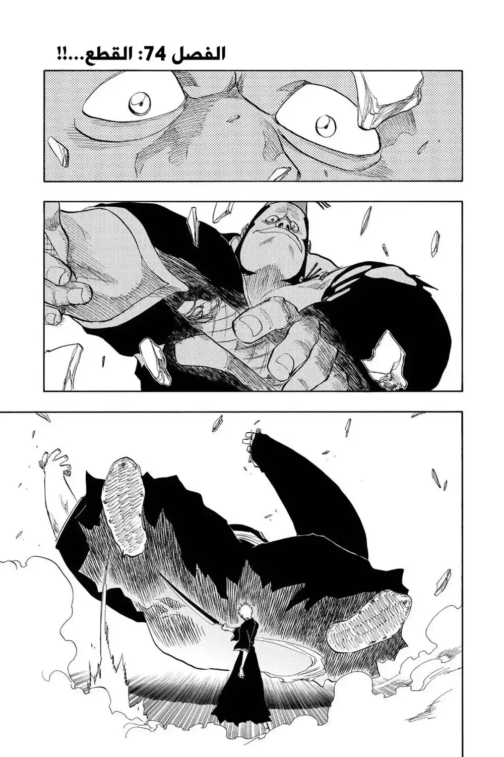 Bleach 74 - القطع...!! página 2