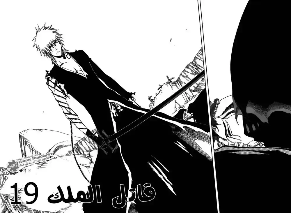 Bleach 417 - قاتل الملك 19 página 2