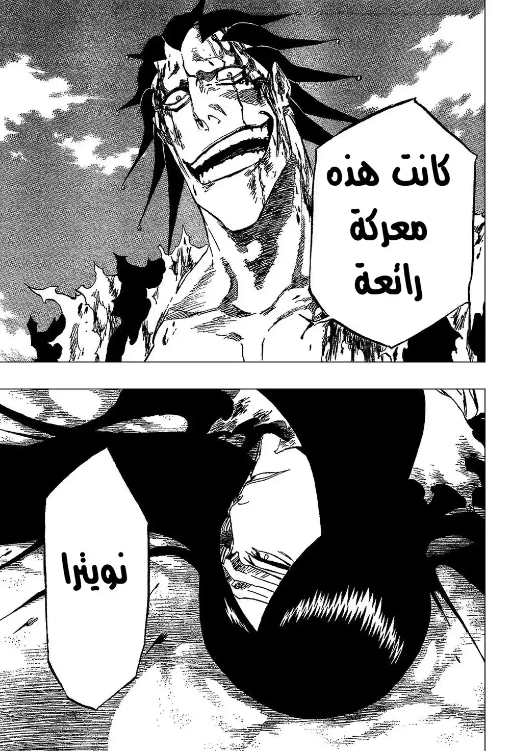 Bleach 313 - للقضاء على عالمكم الذي تعيشون فيه página 9